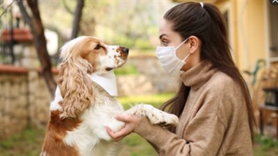 لـ« السيدات».. 12 نصيحة لحماية حيوانك الأليف حال إصابتك بكورونا