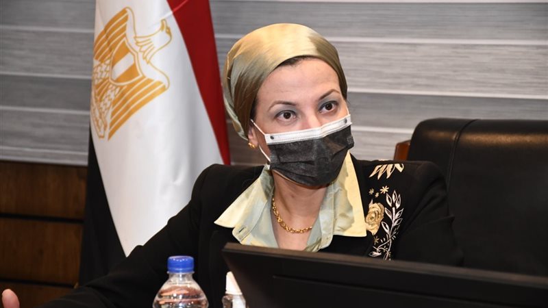 هير نيوز