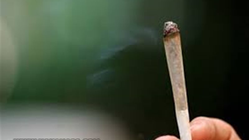 هير نيوز