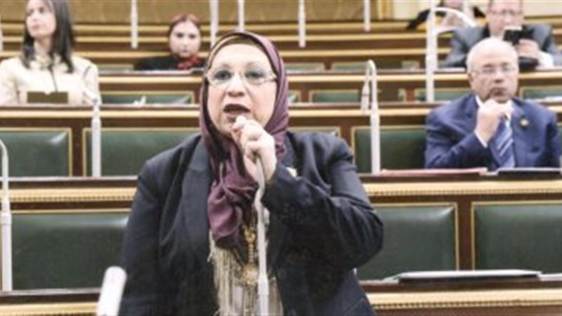 النائبة ايناس عبد