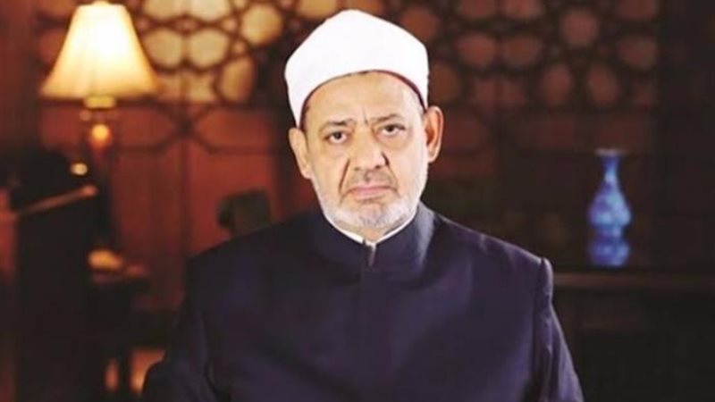هير نيوز