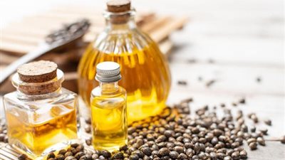 خبير أعشاب للسيدات: زيت الخروع يطيل الشعر ويحمي من الشيب المبكر