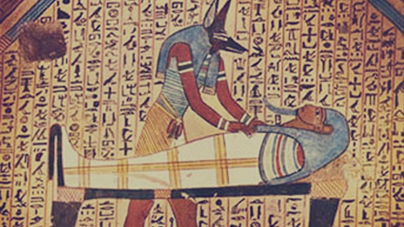 هير نيوز