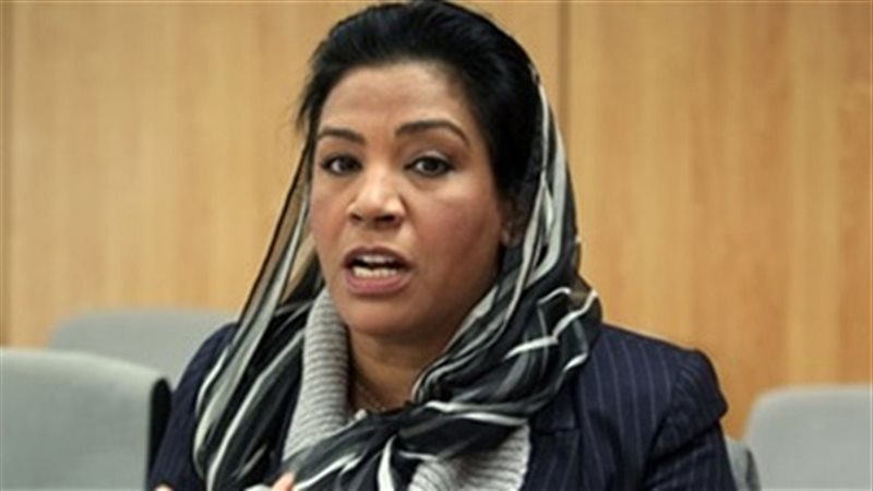 النائبة نشوى الديب