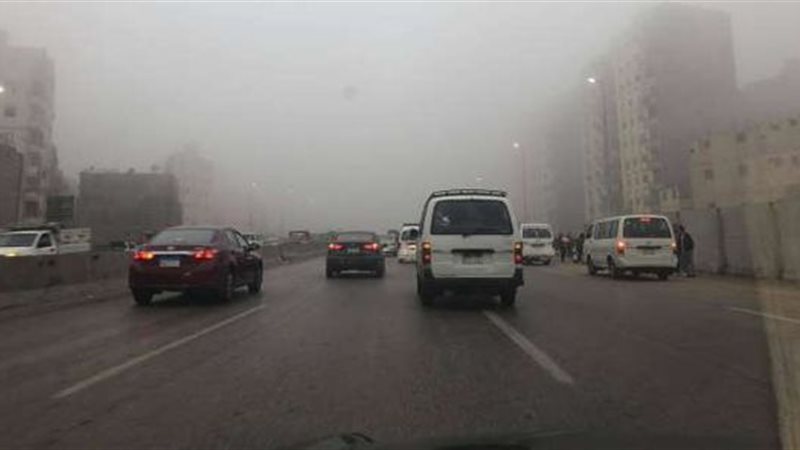 هير نيوز