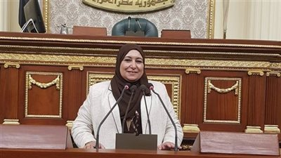 بالصور.. نائبة تُطالب بتعديل قانون هيئة التأمينات الاجتماعية