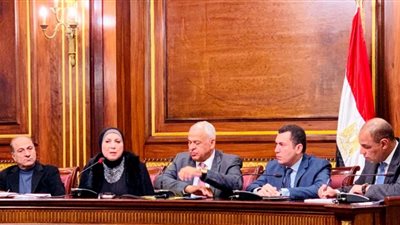 نيفين جامع تستعرض أمام النواب استراتيجية الوزارة للمرحلة المقبلة