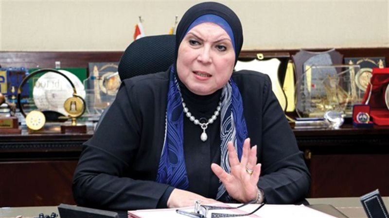 نيفين جامع، وزيرة