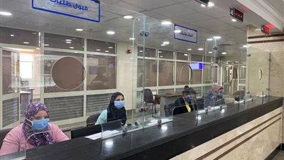 اليوم العالمي للمرأة.. خطوات استخراج جواز سفر.. تعرفي عليها