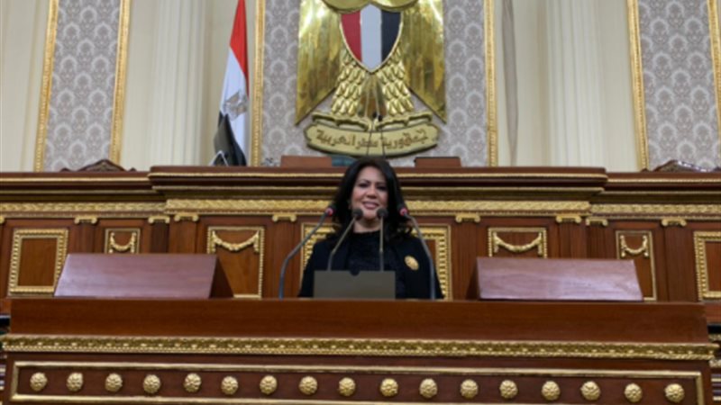 النائبة الدكتورة