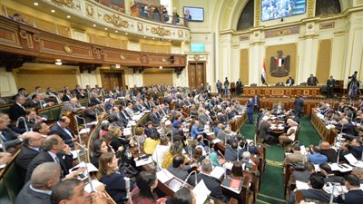 برلمانية عن ظاهرة التحرش: تغيير الفكر والثقافة الحل.. المجتمع يحوّل المجني عليها لـ«جانية»