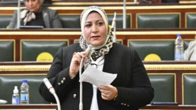 النائبة غادة الضبع تكتب: شكرًا للقيادة السياسية الواعية 