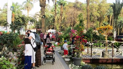 بـ5 جنيهات فقط.. اقضي يومًا جميلًا في عيد الأم بمعرض الزهور 