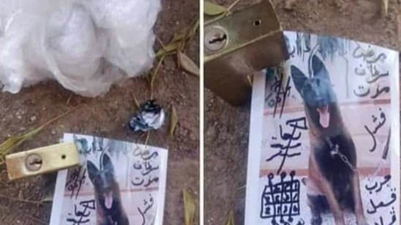 ارشيفية