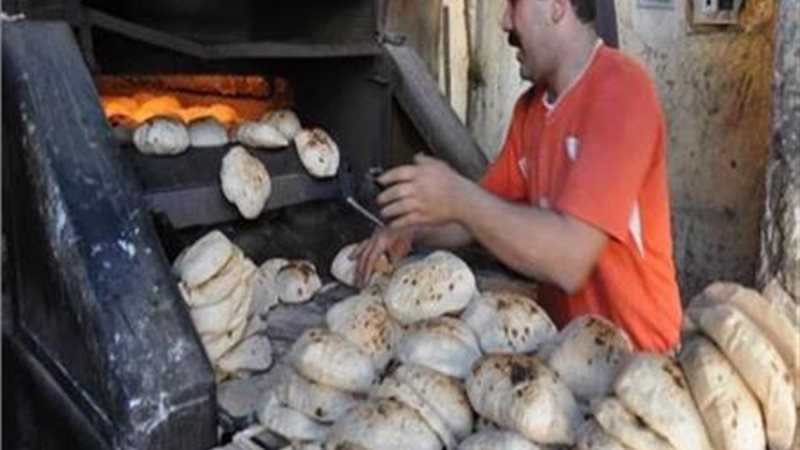 هير نيوز