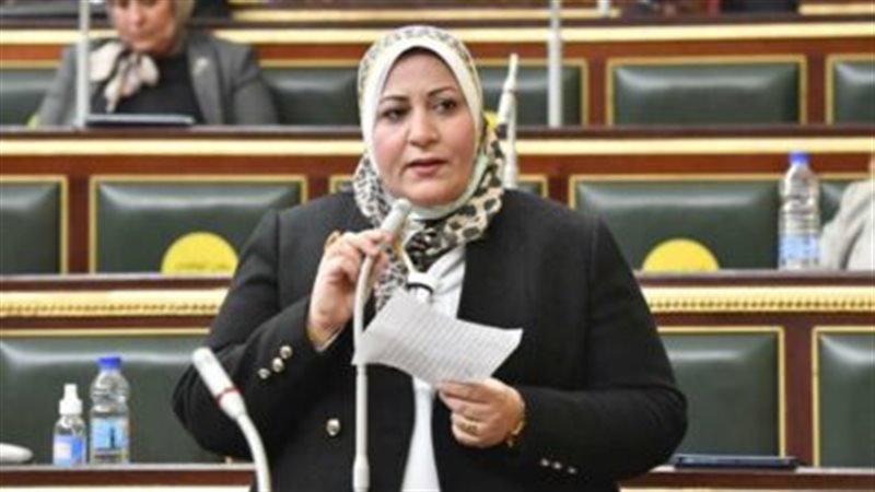 النائبة غادة