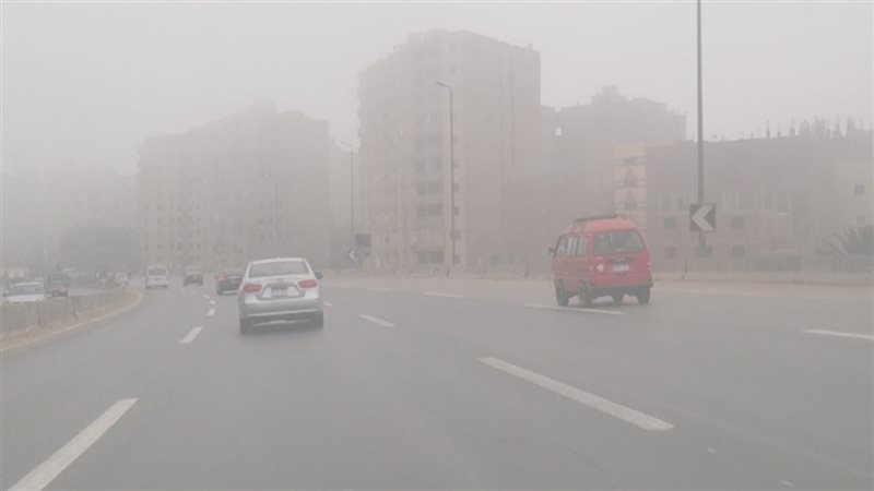 هير نيوز