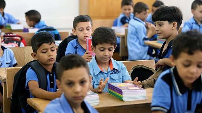 هير نيوز