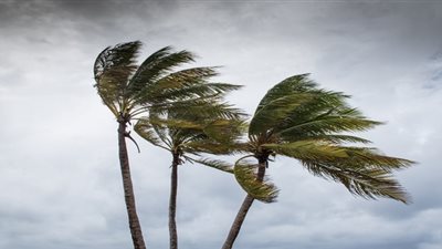 تفسير رؤية الرياح في المنام لابن سيرين