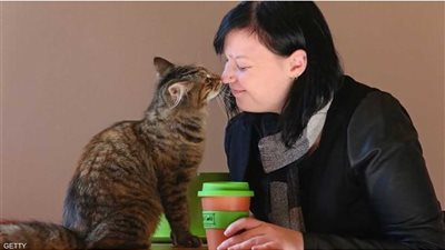 احذري.. تربية القطط لها آثار ضارة على الصحة العقلية في المستقبل