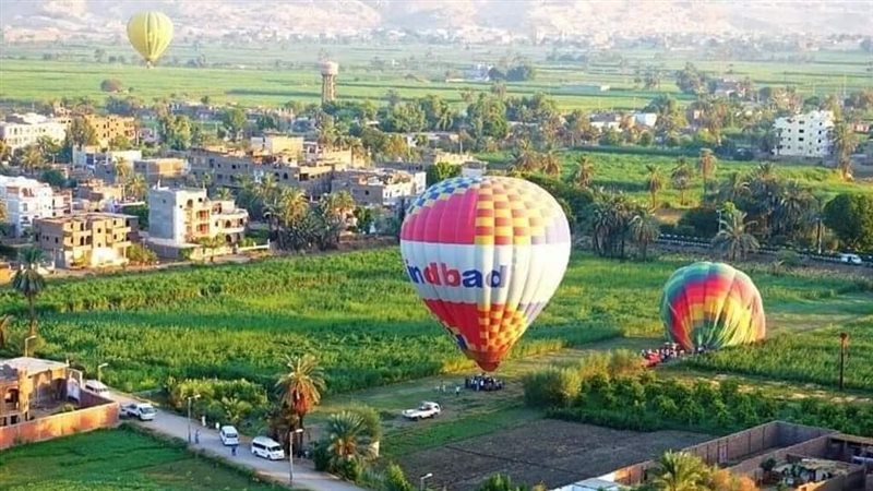 هير نيوز