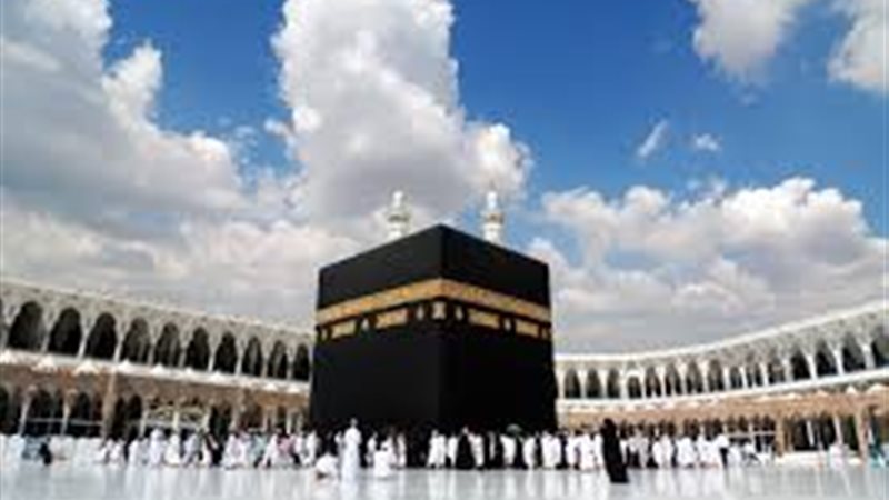 هير نيوز