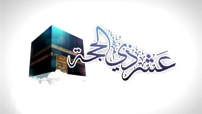 هير نيوز