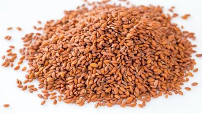 يعزز الخصوبة.. 10 فوائد لبذور حب الرشاد ستبهرك 