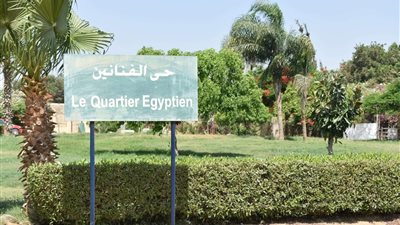 رسالة استغاثة من فناني هرم سيتي لسميح ساويرس