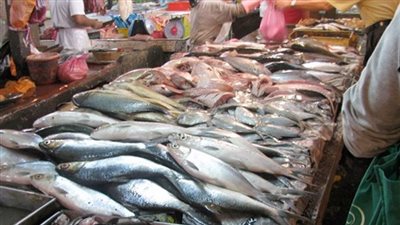 إليك أسعار السمك في الأسواق اليوم الأحد 9 يونيو 2024