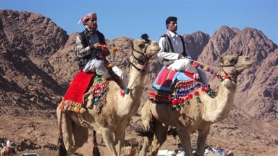 المعيد وتبخير الذبائح والفراشيح والجريشة من مظاهر الاحتفال بالعيد بجنوب سيناء
