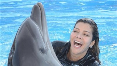 عروض الدولفين بشرم الشيخ أبرز أماكن الفسح في العيد 