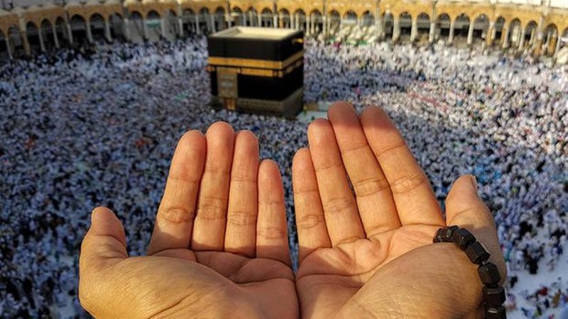 هير نيوز
