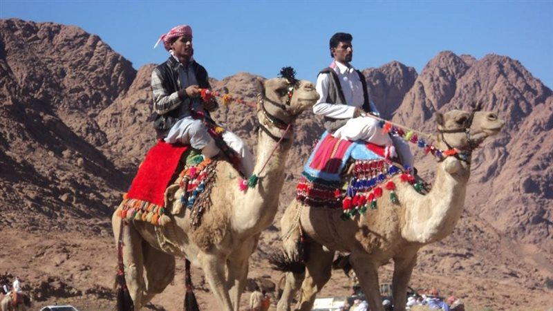 هير نيوز