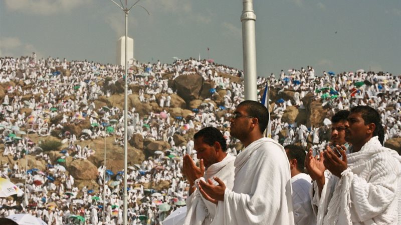 هير نيوز
