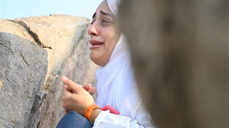 هير نيوز