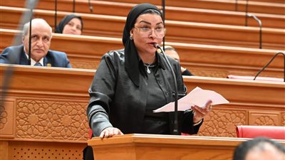 النائبة ألفت المزلاوي: قطع الكهرباء أصاب كل بيت بـ«النكد».. وعلى الحكومة ايجاد حل