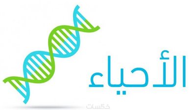 للشعبة العلمية.. أهم التوصيات لتأدية امتحان الثانوية الأزهرية بمادة الأحياء 