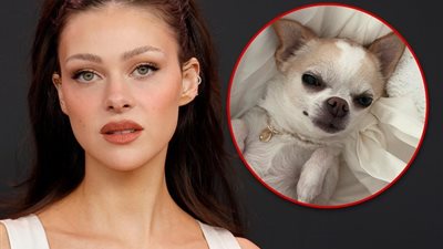 زوجة ابن فيكتوريا بيكهام تعين محامين للتحقيق في وفاة كلبتها وتثير السخرية