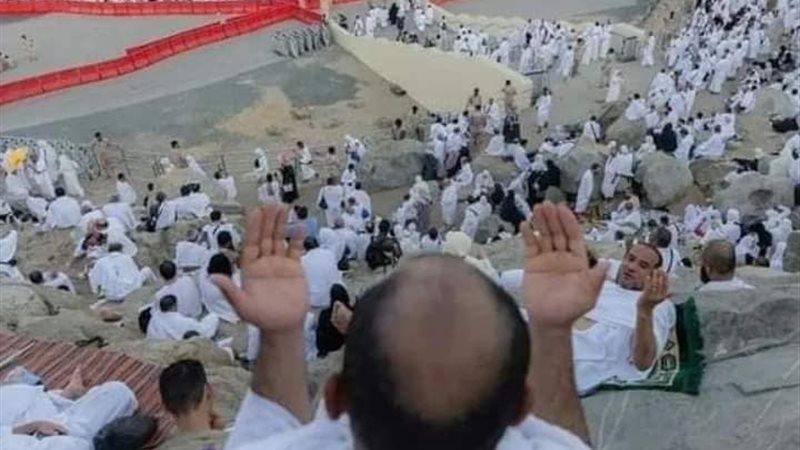 هير نيوز