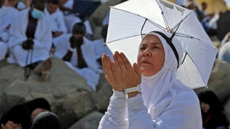 هير نيوز