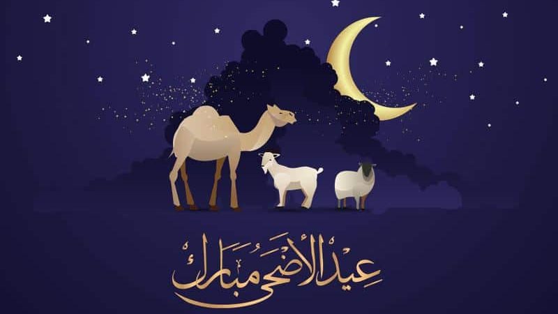 هير نيوز