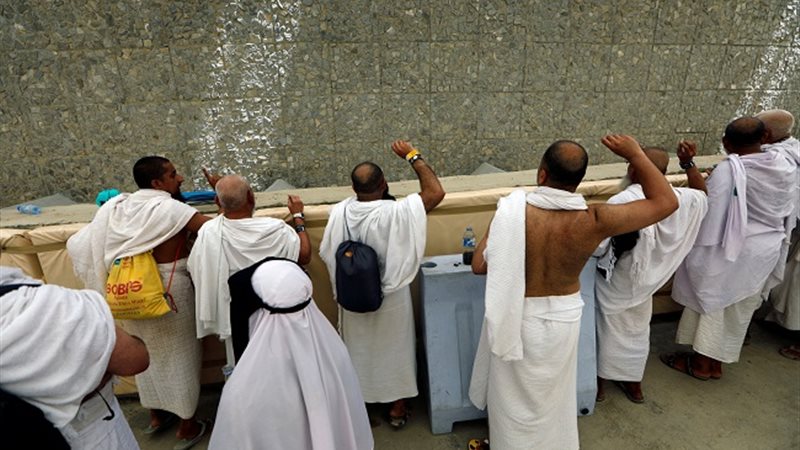 هير نيوز