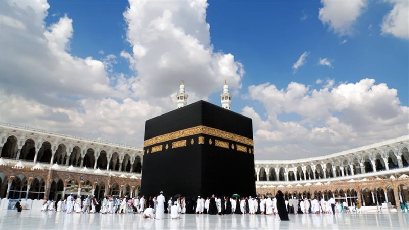 هير نيوز