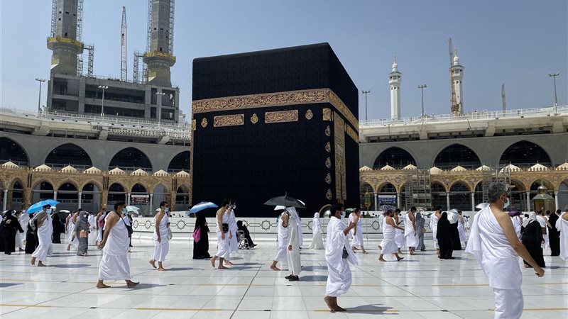 هير نيوز