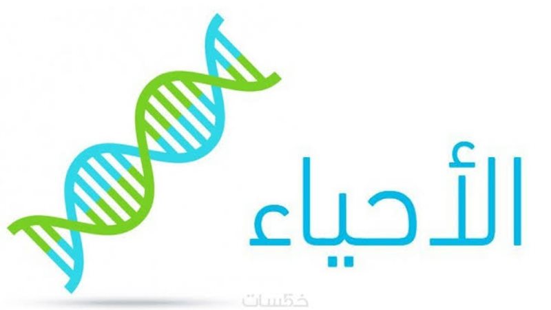 هير نيوز