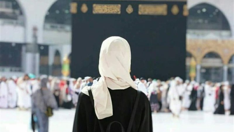 هير نيوز