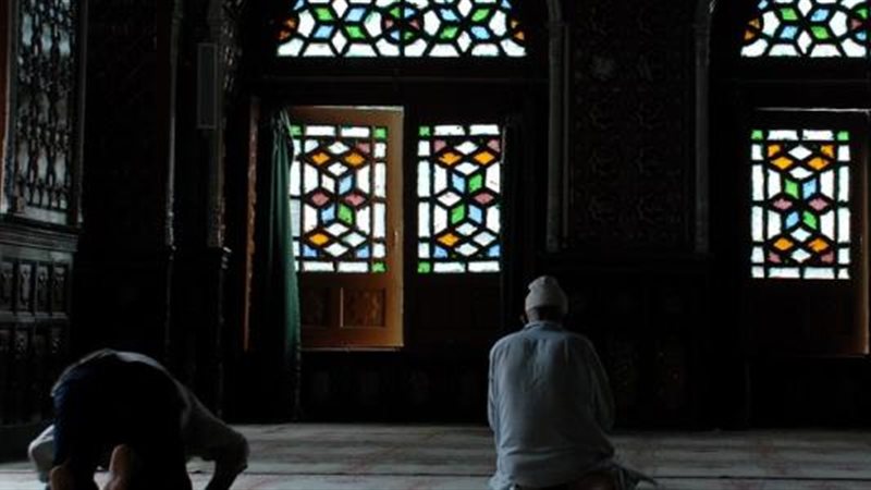 هير نيوز