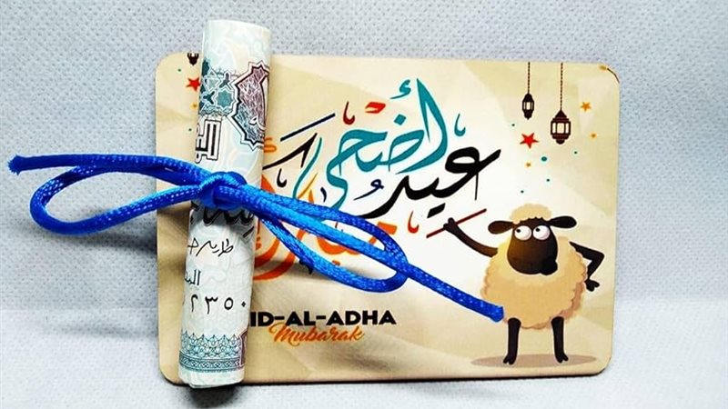 هير نيوز