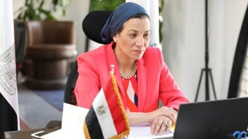هير نيوز